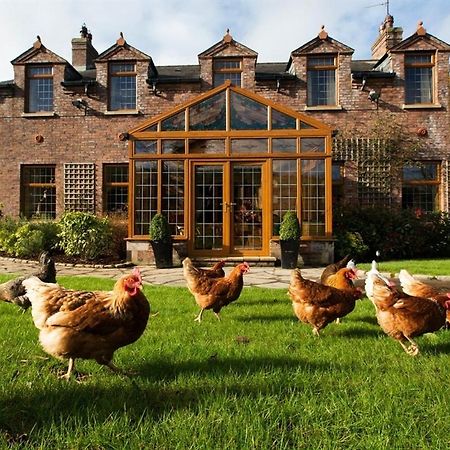 Blackwell House Banbridge Esterno foto